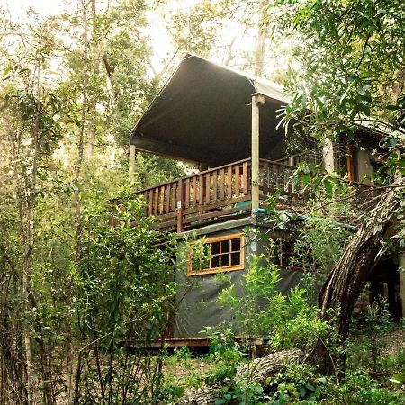 Fernhill Tented Treehouses Rheenendal Extérieur photo