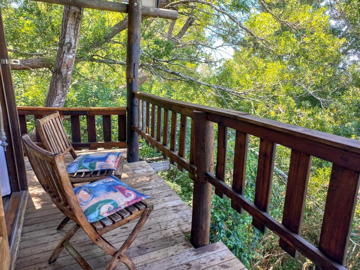 Fernhill Tented Treehouses Rheenendal Extérieur photo