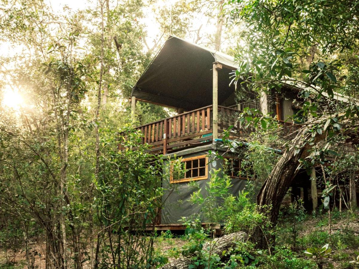 Fernhill Tented Treehouses Rheenendal Extérieur photo