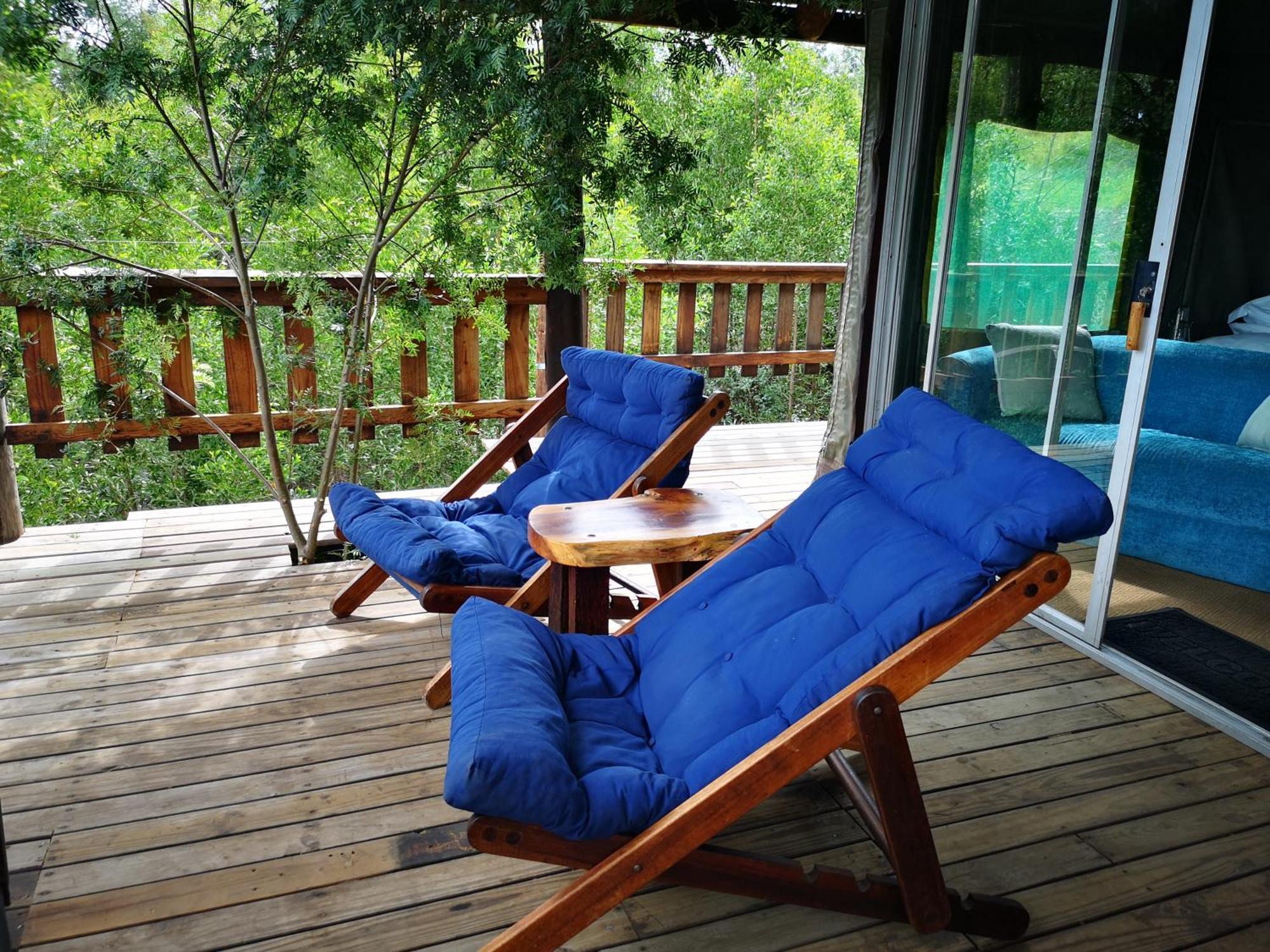 Fernhill Tented Treehouses Rheenendal Chambre photo