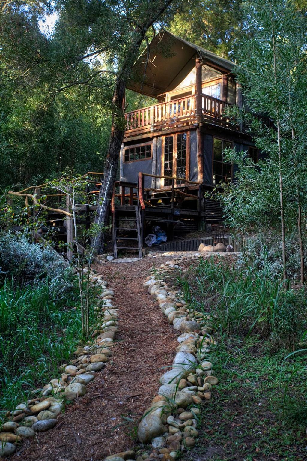 Fernhill Tented Treehouses Rheenendal Chambre photo