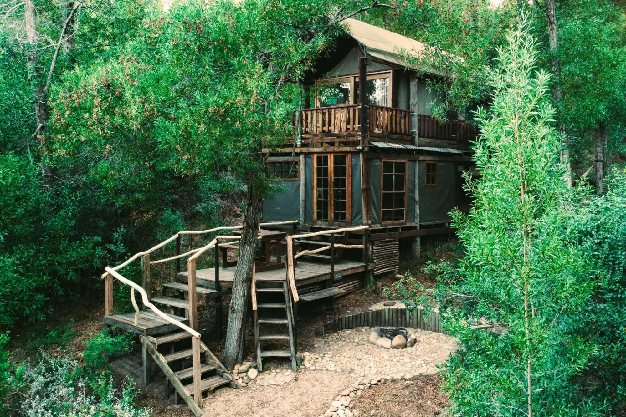 Fernhill Tented Treehouses Rheenendal Extérieur photo